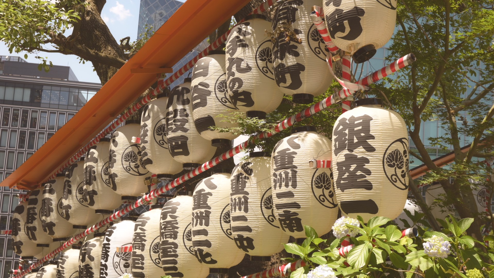 Paper lanterns at a shrine