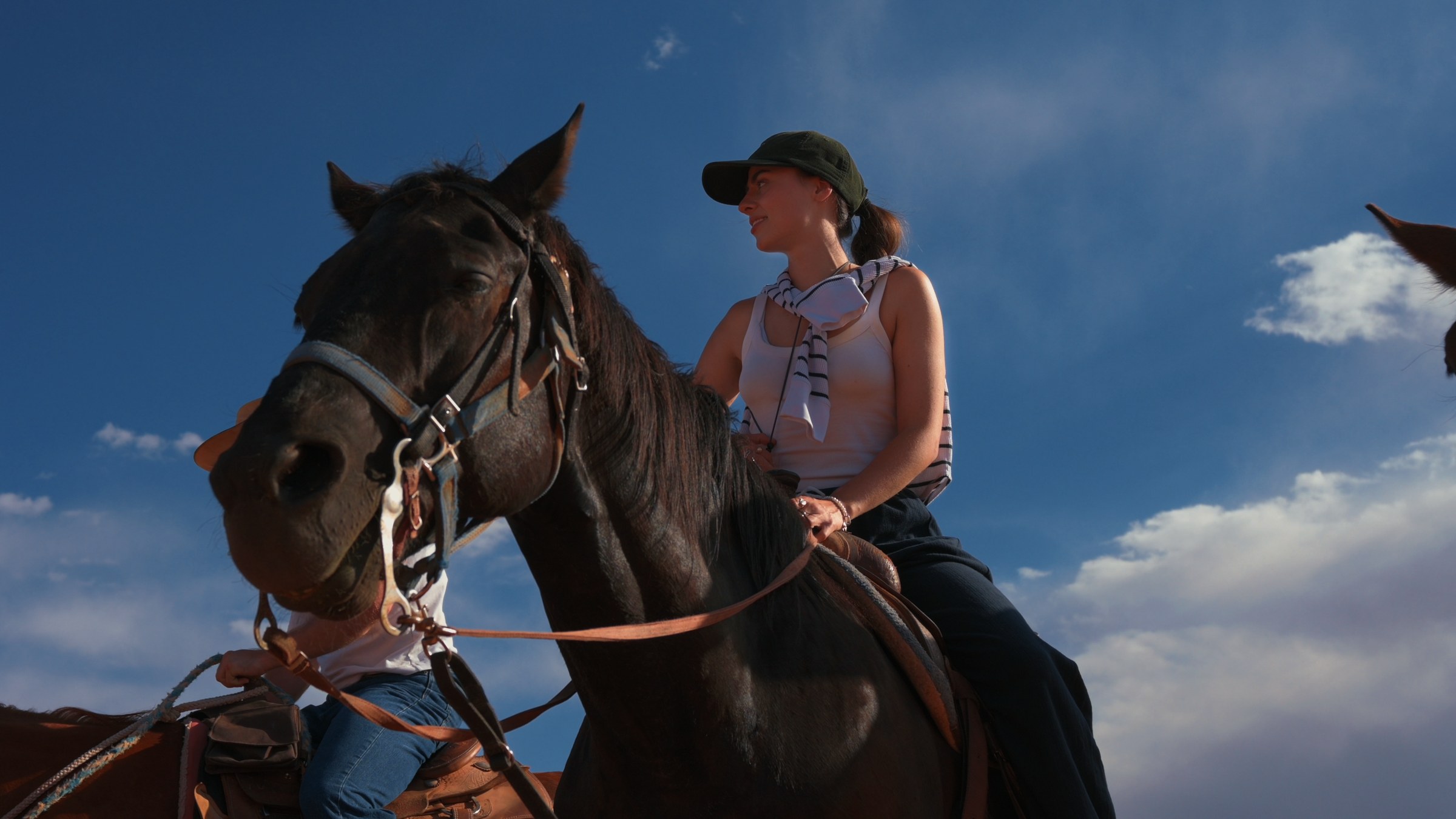 Rider on a black horse