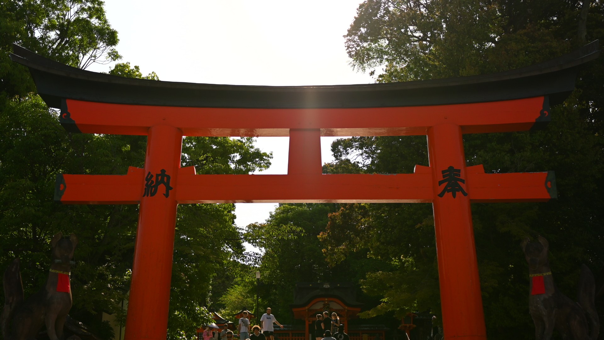 Torii gate in the forest, sun behind