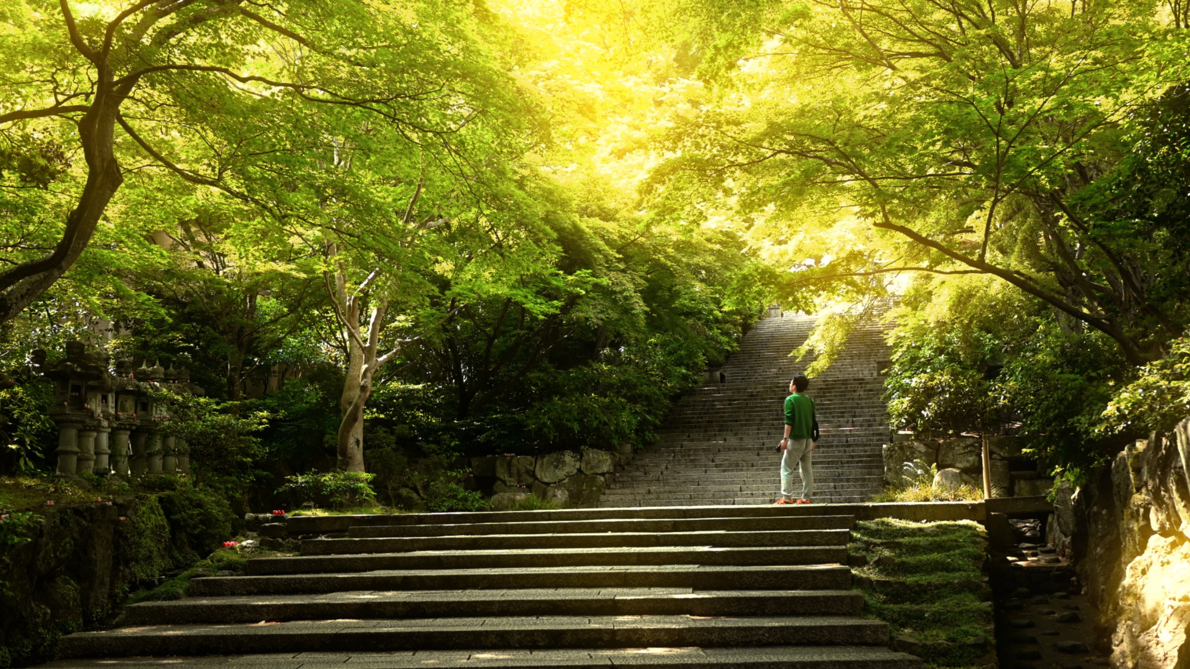 Stone steps through a green forest